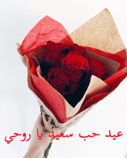 صور تهنئة بعيد الحب 7