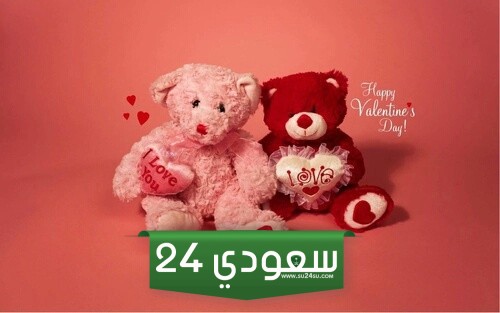 صور دباديب عيد الحب