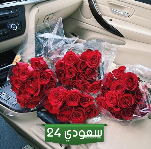 عبارات عيد الحب