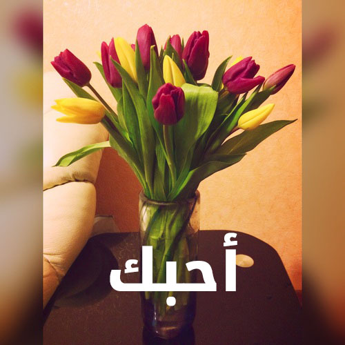 صور ورد عيد الحب 24 صور ورد عيد الحب 23