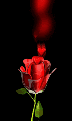 صور متحركة لعيد الحب 21