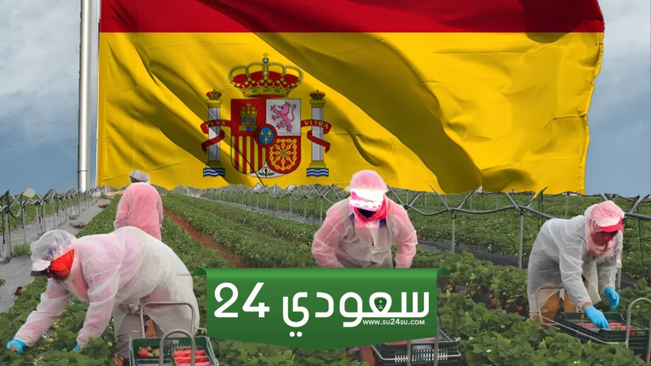 عقود العمل الموسمية في إسبانيا