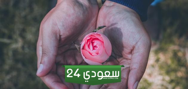 كلمات عن الصباح تويتر جميلة وخفيفة