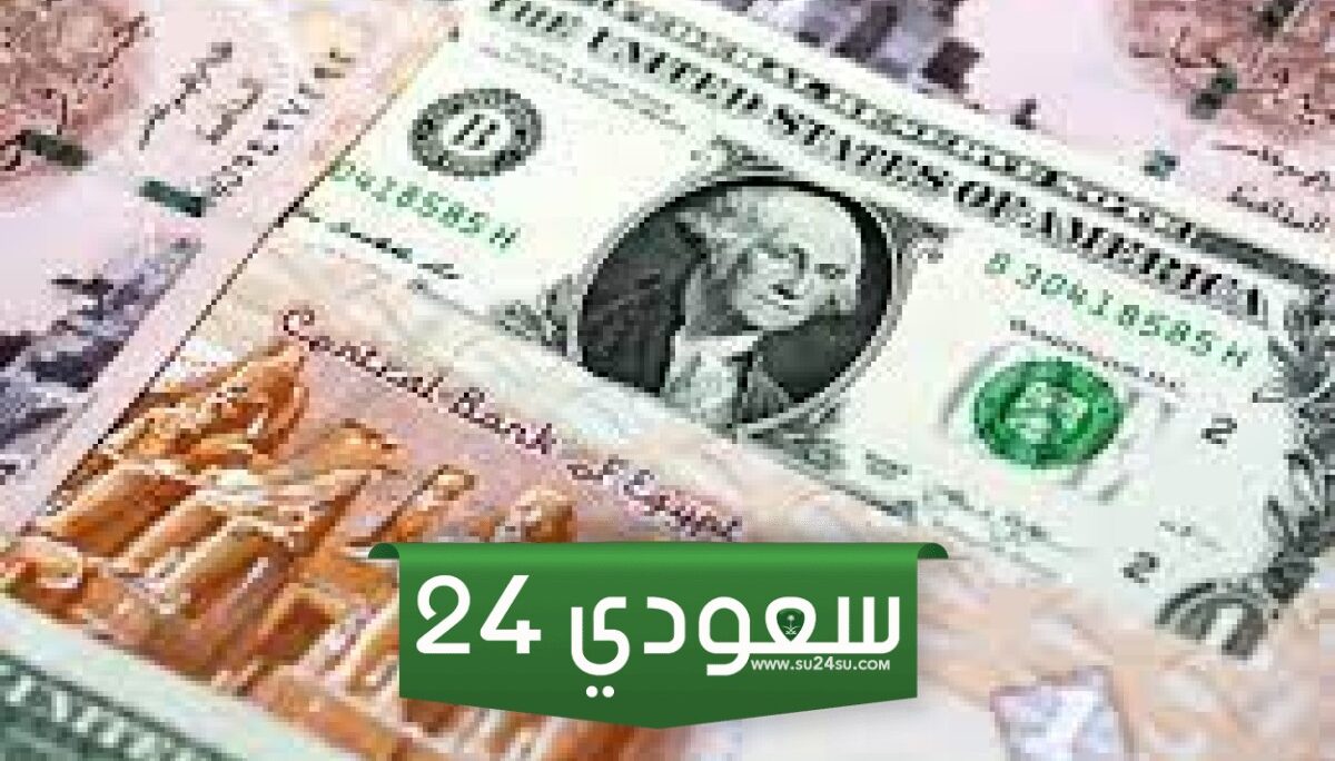مشروع رأس الحكمة وحدها لن تحل أزمة الدولار