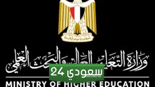 وظائف التعليم العالي