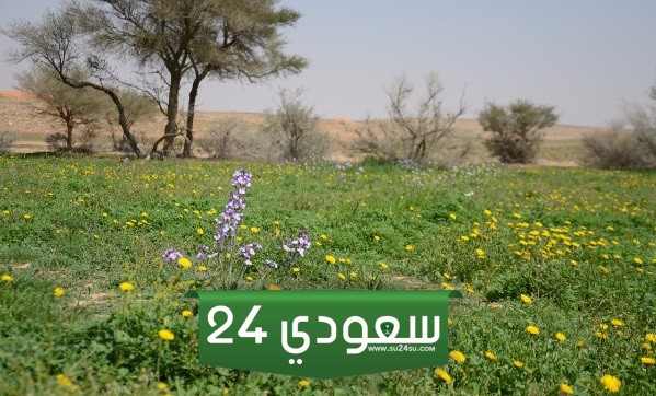 أجمل صور محمية الامام تركي بن عبدالله