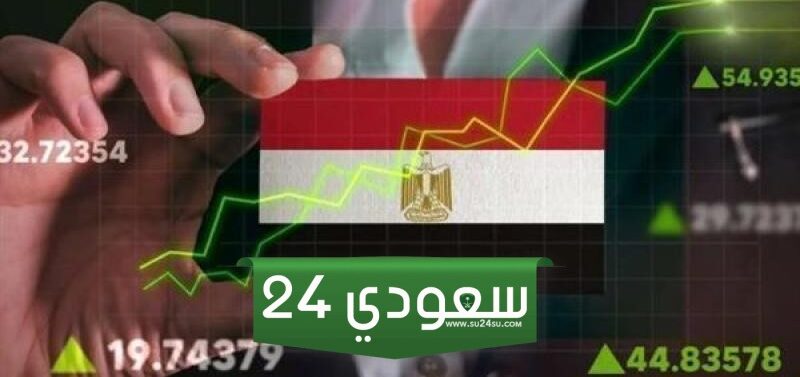 هيرميس للوساطة تتصدر الأسهم الأكثر تداولا بالبورصة خلال تعاملات الأسبوع