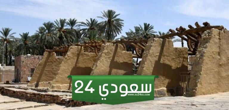 اين يقع متحف تيماء