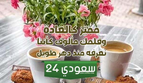 اجمل الردود على المنشورات