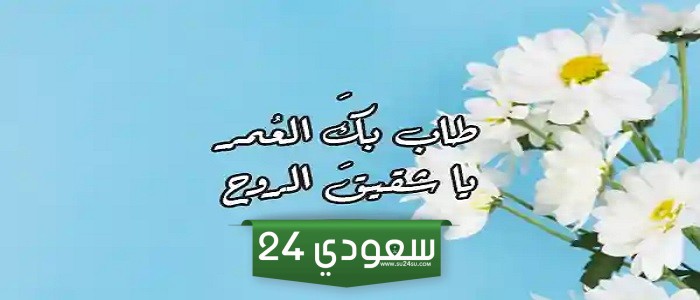 اقتباسات حلوة لرفيق الروح