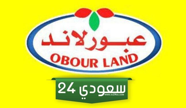 انخفاض أسعار جبنة عبور لاند .. تعرف على الأسعار الجديدة