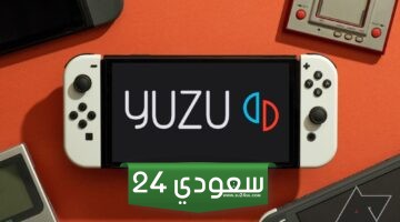 بعد إيقاف محاكي Yuzu لجهاز Switch – ظهور محاكيات Nuzu و Suyu!