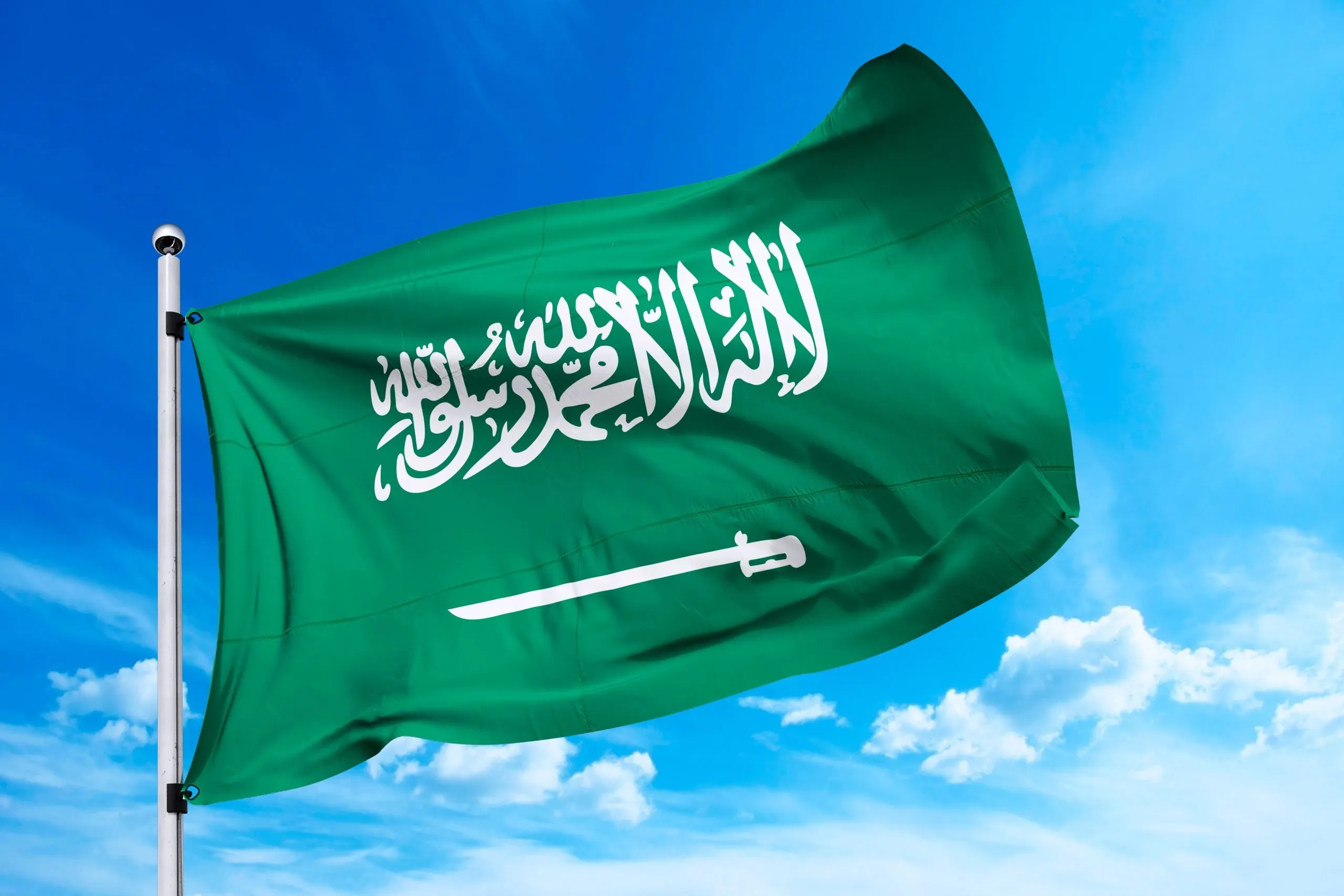 بما يتميز علم المملكه
