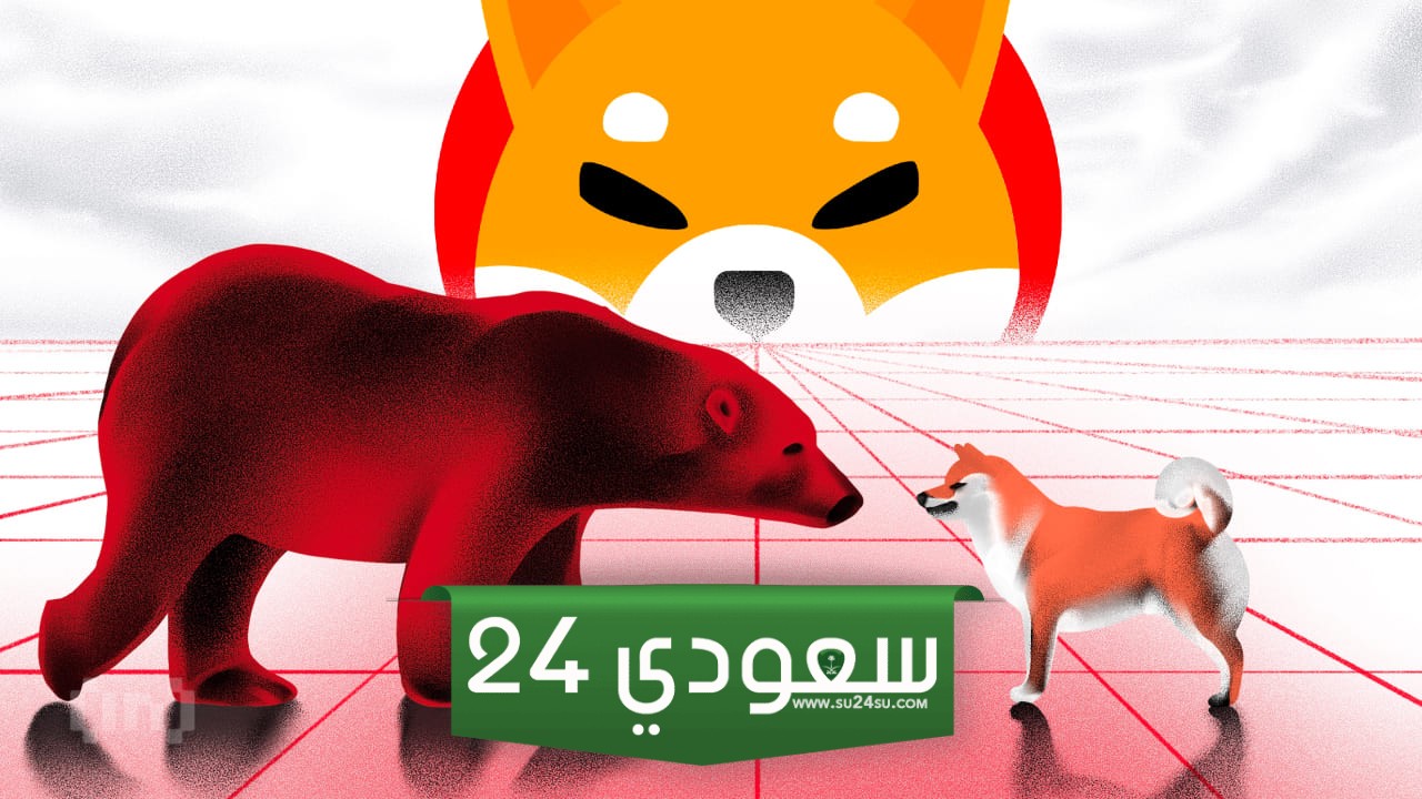 تحركات ضخمة لحيتان شيبا إينو SHIB  تثير مخاوف من عمليات بيع مكثفة.. ولكن