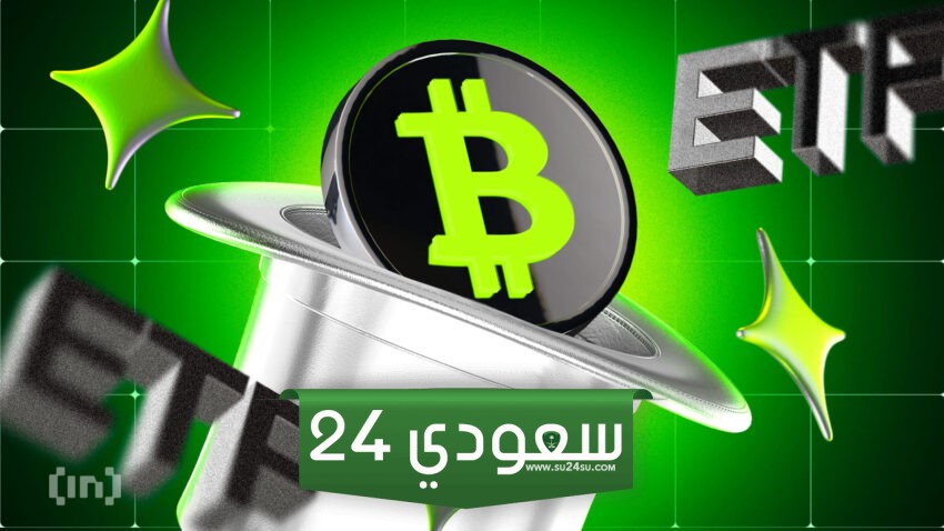 حيتان البيتكوين وليس صناديق التداول هم السر وراء الصعود الأخير
