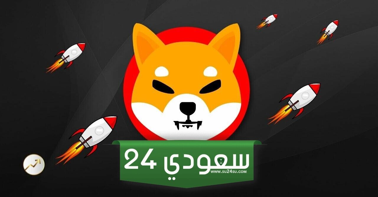صعود شيبا إينو الملفت: كيف تفوقت على البيتكوين والإيثريوم؟