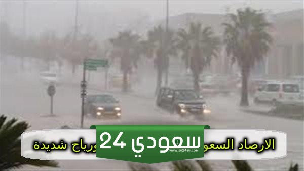 صواعق رعدية ورياح شديدة الأرصاد