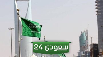 عدد النساء والرجال بالسعودية 2024