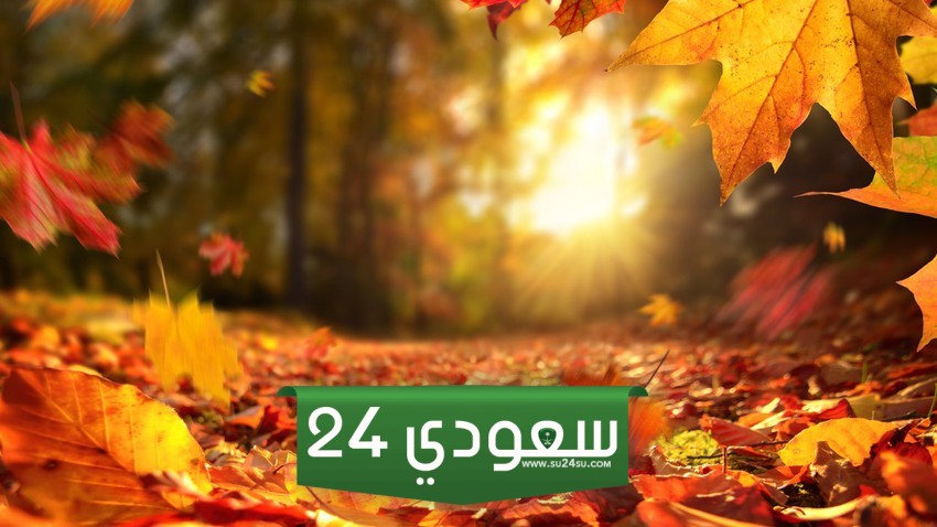 كم باقي على موسم الصفري