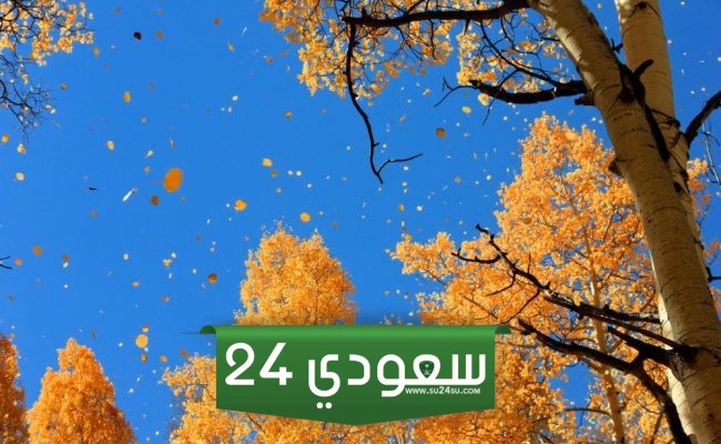 كم باقي على موسم الصفري