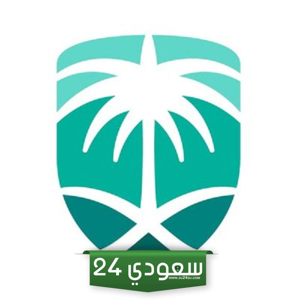 منصة فسح الجمارك