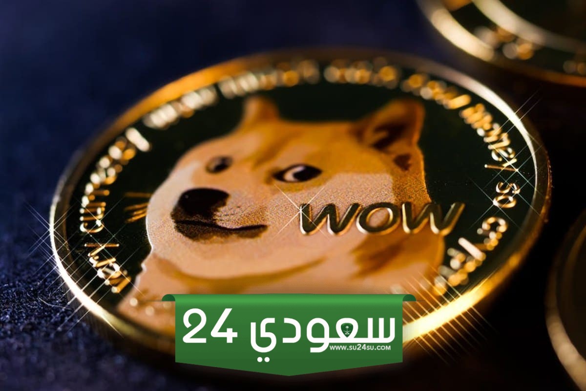 هبوط سعر دوجكوين DOGE