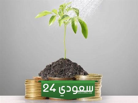 هل تخرج الارملة زكاة الفطر في شهر رمضان