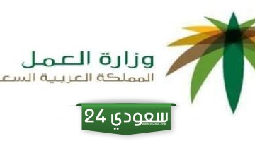 وزارة العمل السعودية: إلغاء نظام الكفالة.. تفاصيل مبادرة تحسين العلاقة التعاقدية
