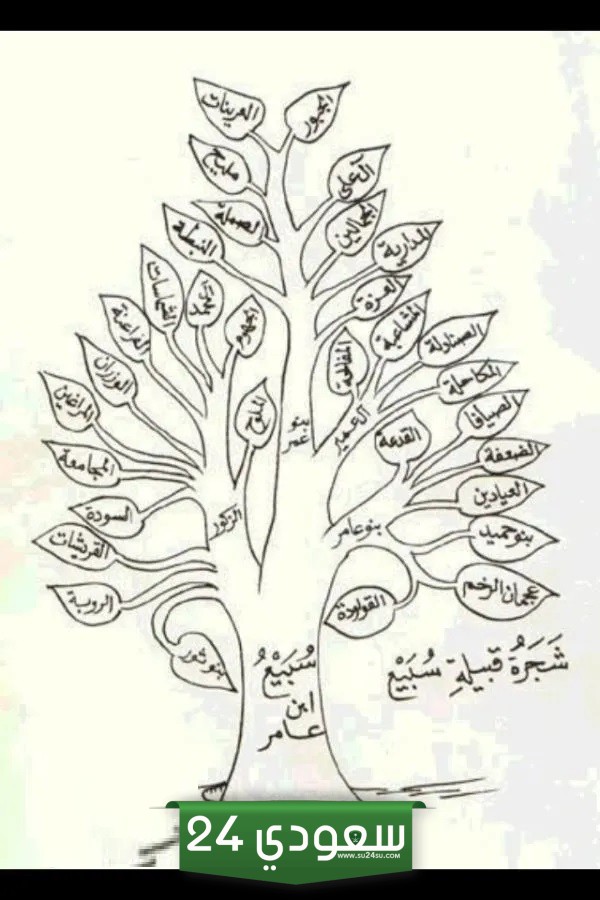 503 رمز اي قبيلة
