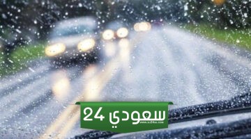 حقيقة هطول الأمطار في مصر هذا الأسبوع