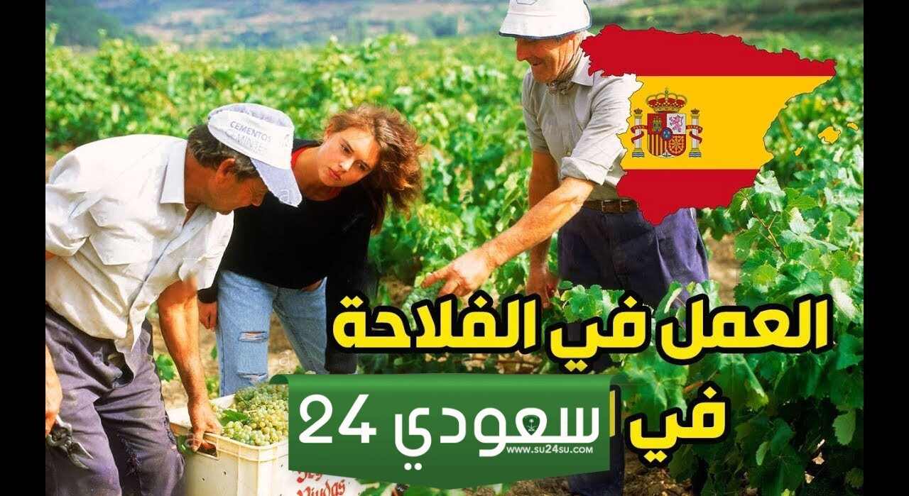 احصل الآن على 8 يورو للساعة من هذه الوظائف في الفلاحة في إسبانيا