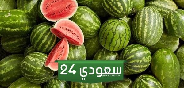 الحكومة تكشف حقيقة انتشار بطيخ مسرطن في الأسواق