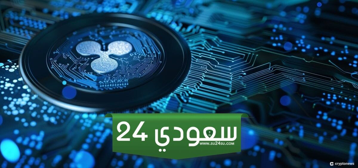 الرئيس التنفيذي لشركة الريبل يتوقع انفجار القيمة السوقية للعملات المشفرة