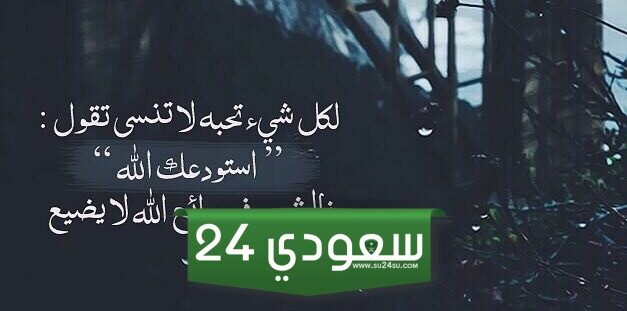 الرد على استودعتك الله ، اذا احد قال استودعكم الله وش ارد