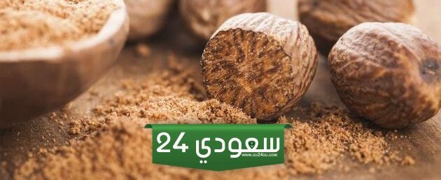 حكم جوزة الطيب ابن باز وحكم بيعها