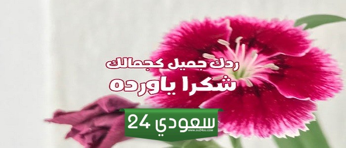 رد جميل على تعليق
