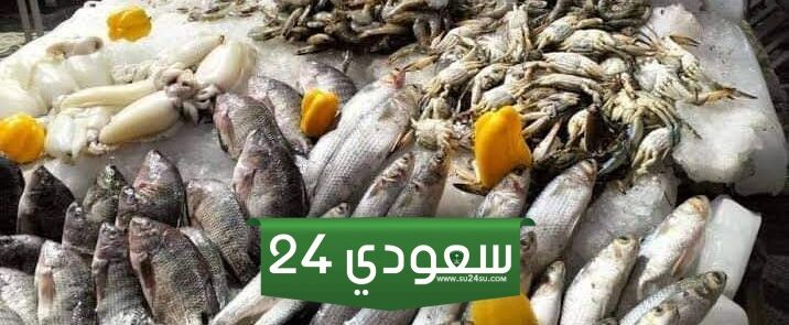 سعر كيلو السمك في سوق العبور اليوم بعد حملة خليها تعفن