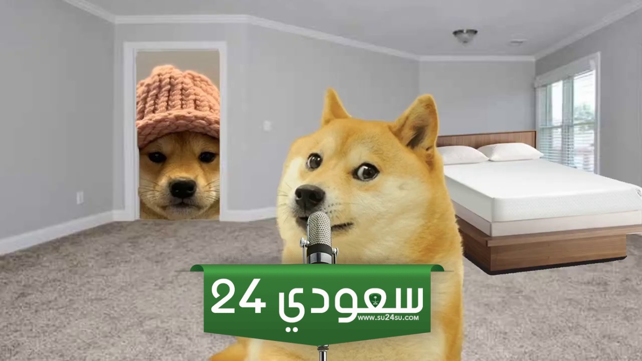عملة Dogwifhat