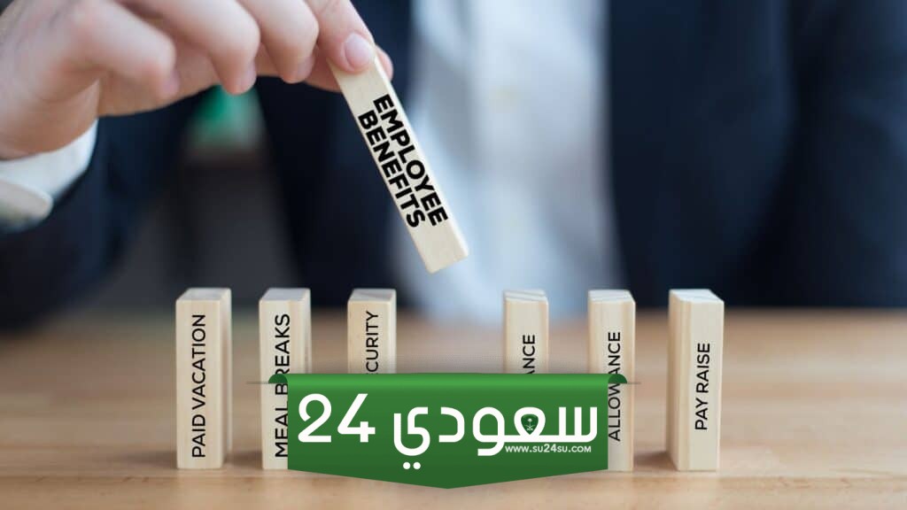 قانون العمل المصري 2024