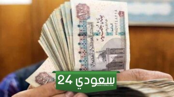 سعر الدولار مقابل الجنيه المصرى السبت 27 أبريل 2024
