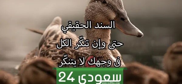 كلام عن السند الحقيقي