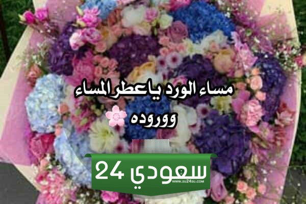 كلام مساء الورد