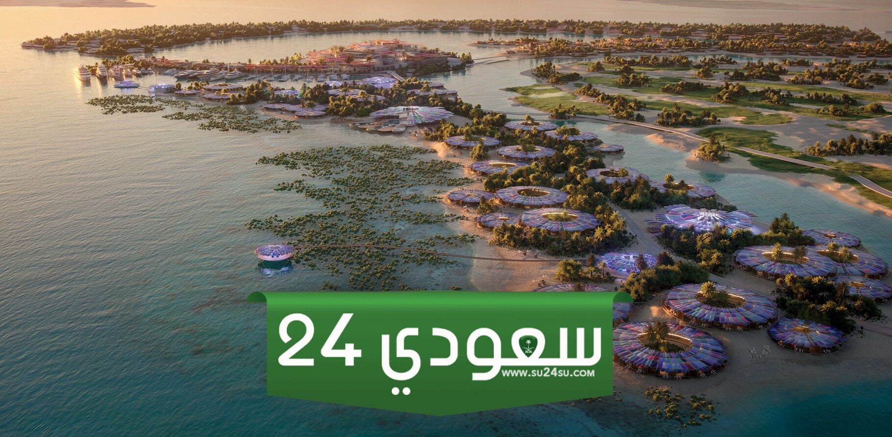 ما هو مشروع كورال بلوم وتفاصيله وأهم المعلومات عنه