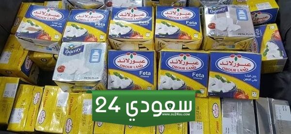 موعد تطبيق زيادة أسعار جبنة عبور لاند