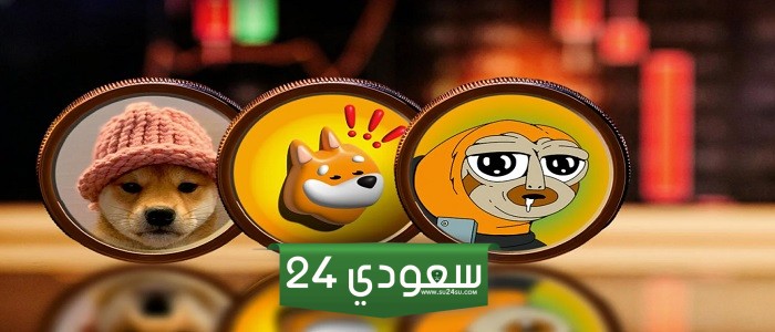 عملات ميم شبكة سولانا تحقق أرباح كبيرة.. فما هي؟
