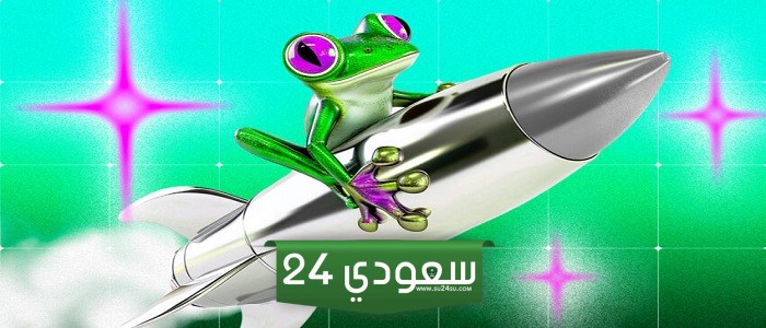 عملات الميم PEPE وMOG  تسجل ارتفاعات قياسية لهذا السبب