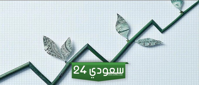 أهم الاستراتيجيات لنمو مستدام للشركات