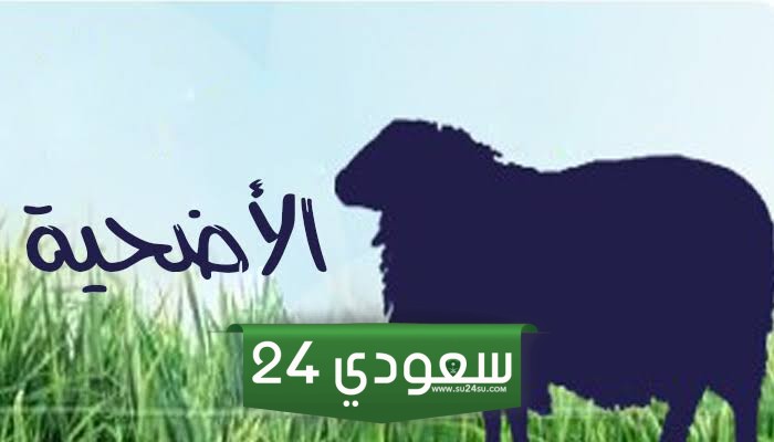 أفضل وقت لذبح الأضحية