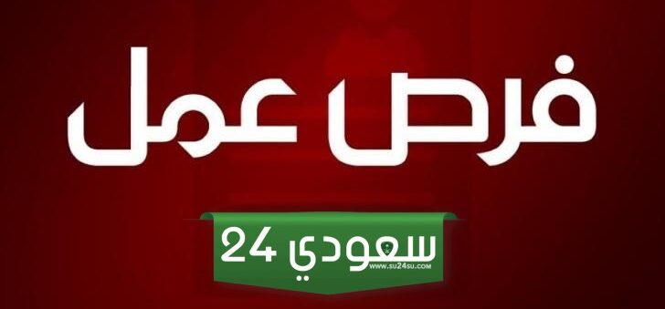 فرص عمل ذهبية في المغرب تنتظرك