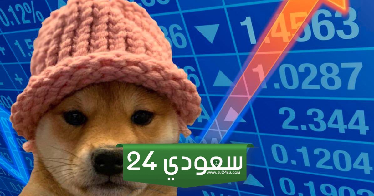ارتفاع سعر WIF أكثر من 2000%.. هل هناك المزيد من الارتفاعات؟